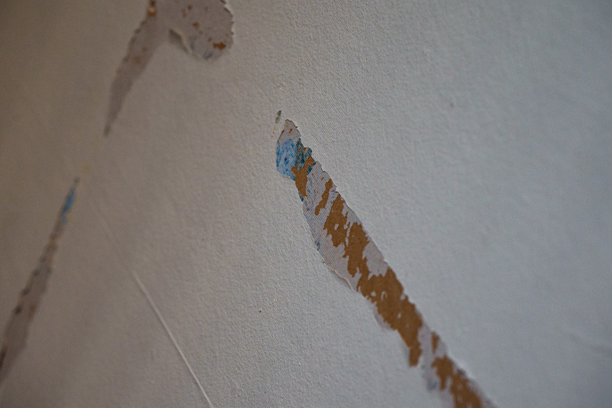 Storm Damage Repair service in Waco, TX